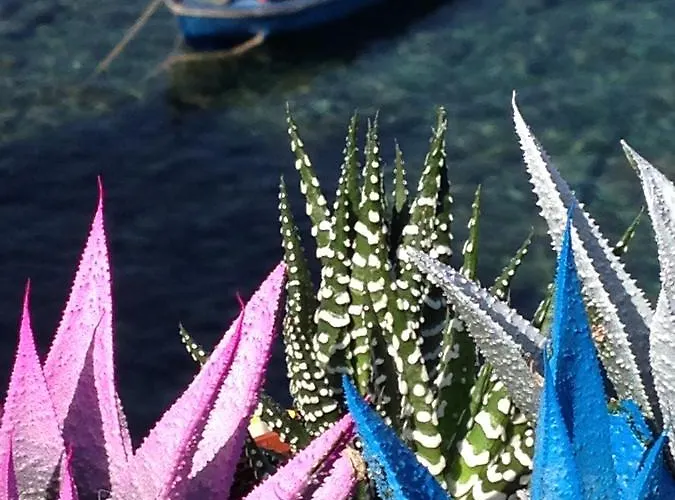 Casa Il Soffio Di Eolo Pensjonat Scilla